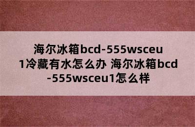 海尔冰箱bcd-555wsceu1冷藏有水怎么办 海尔冰箱bcd-555wsceu1怎么样